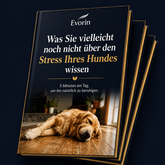 Was Sie vielleicht noch nicht über den Stress Ihres Hundes wissen